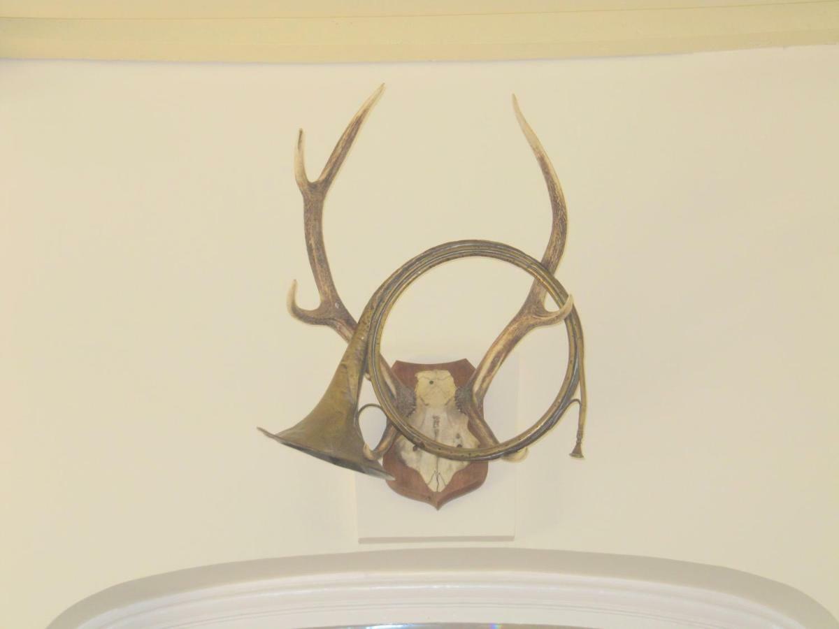 Bed & Breakfast Chateau Les Cedres Bretteville-l'Orgueilleuse Buitenkant foto